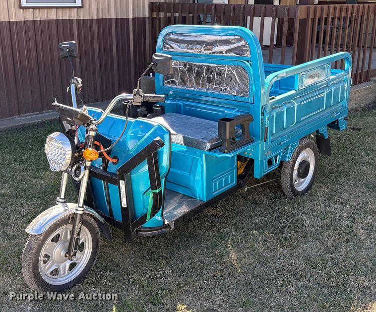 image for item EU0260 2025 IR IRET13 electric tricycle