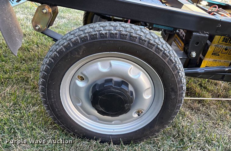 image for item EU0260 2025 IR IRET13 electric tricycle