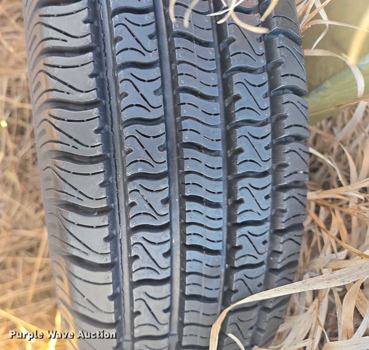 image for item ES2696 Bauer Rainstar E4 irrigation reel