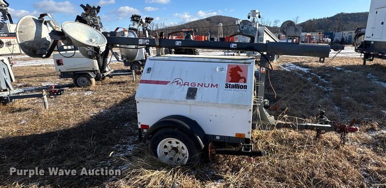 image for item DT2782  (4) light plants