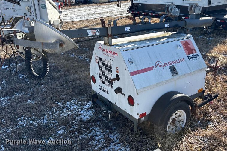 image for item DT2782  (4) light plants