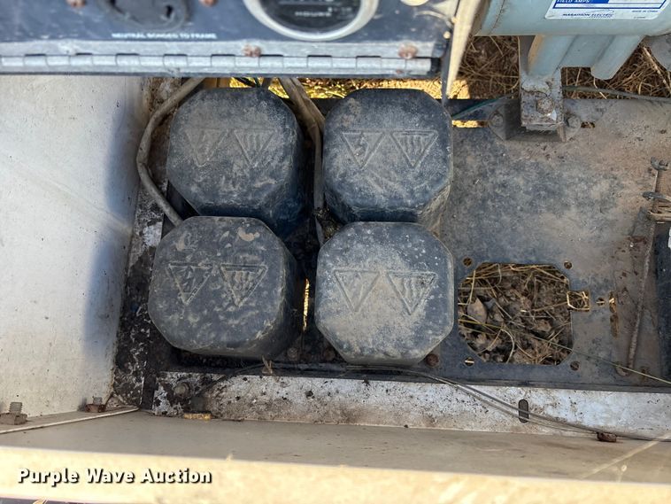 image for item DT2782  (4) light plants