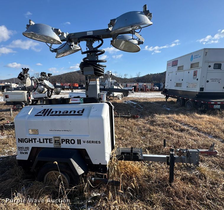 image for item DT2782  (4) light plants