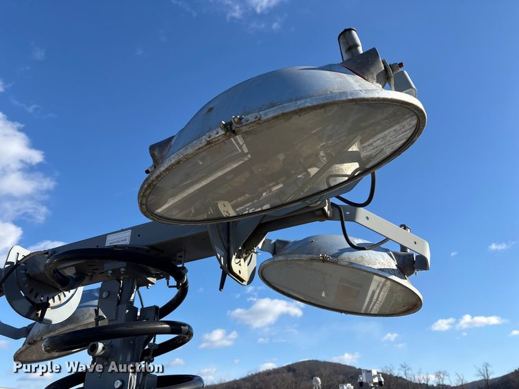 image for item DT2782  (4) light plants