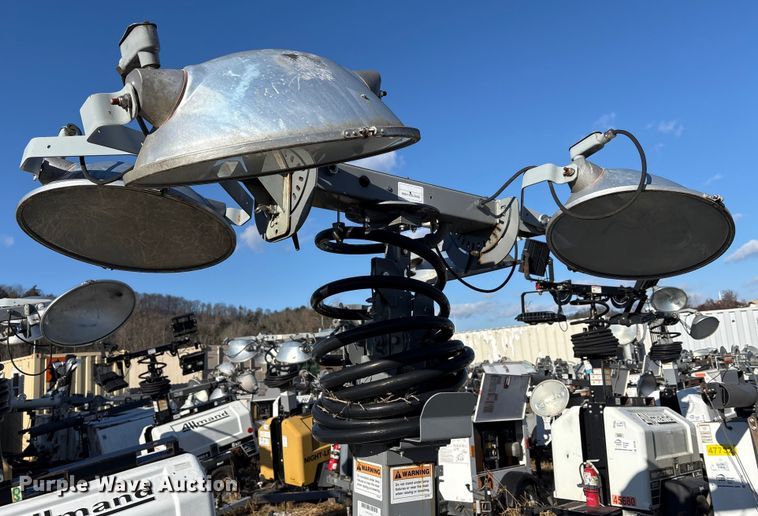 image for item DT2782  (4) light plants