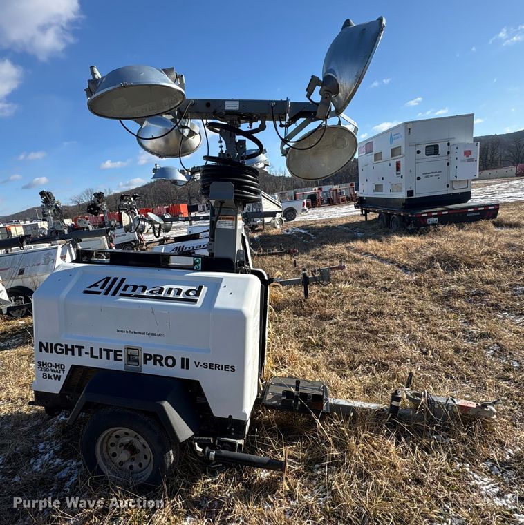 image for item DT2782  (4) light plants