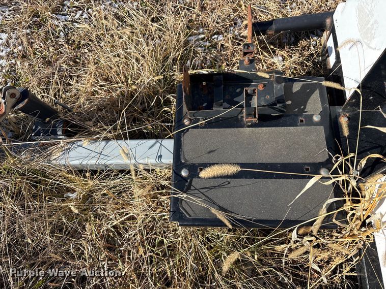 image for item DT2782  (4) light plants