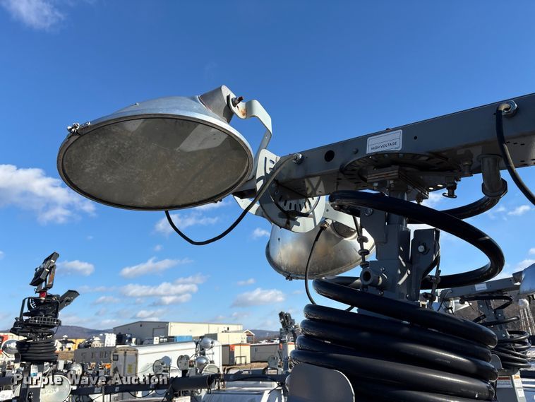 image for item DT2782  (4) light plants