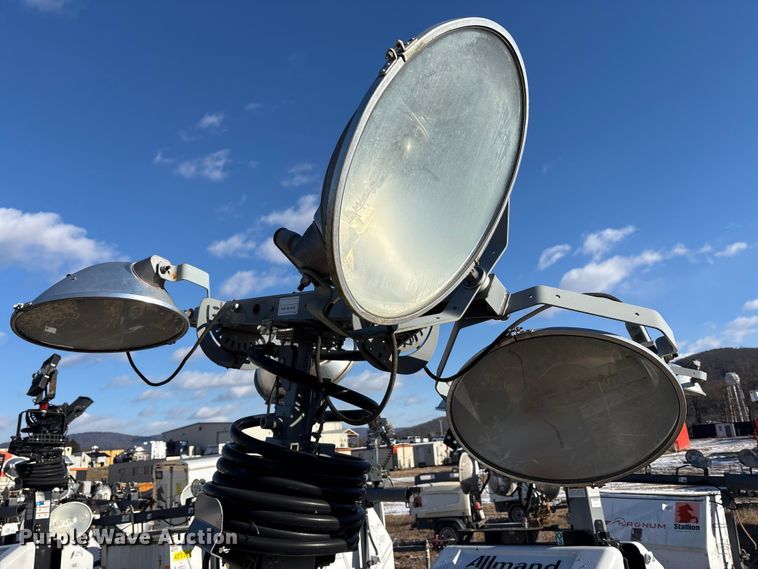 image for item DT2782  (4) light plants