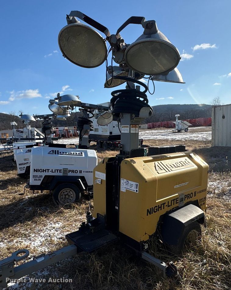 image for item DT2782  (4) light plants