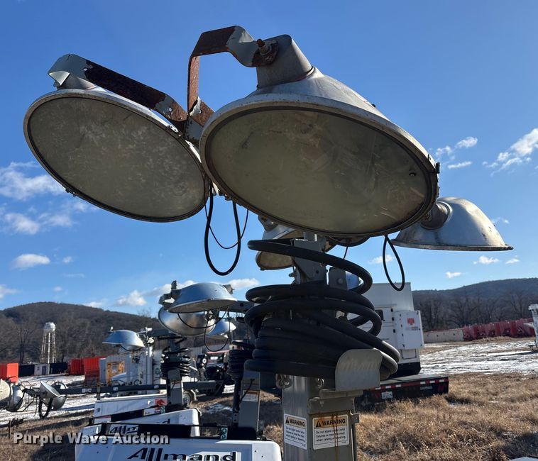 image for item DT2782  (4) light plants