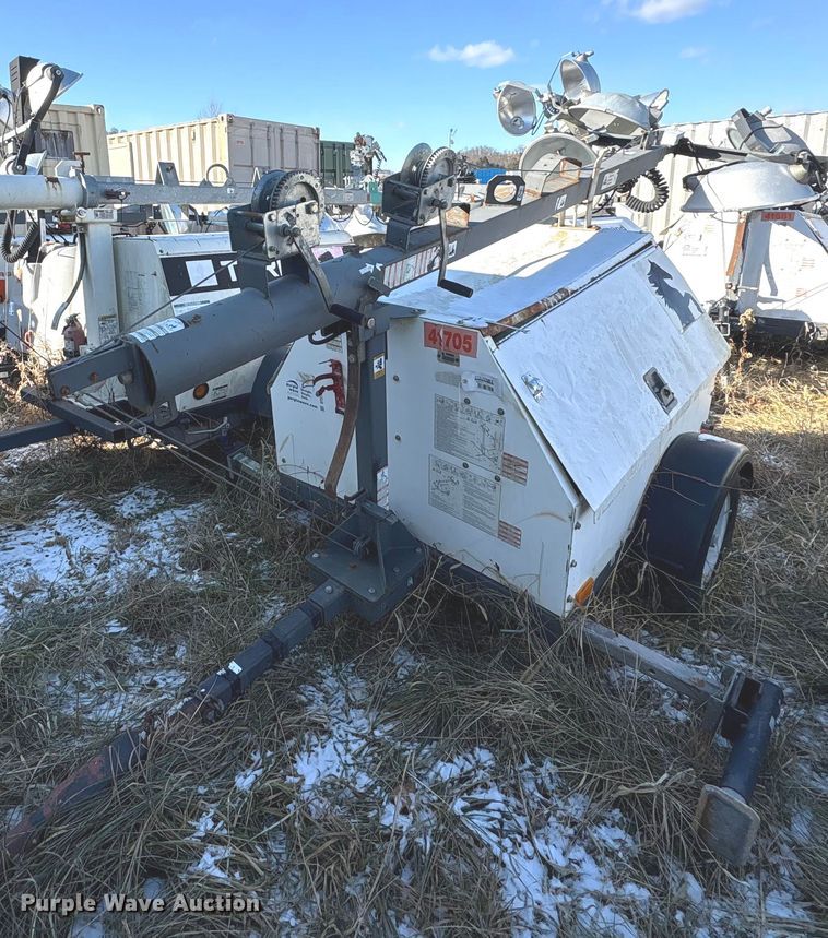 image for item DT2789 (4) light plants