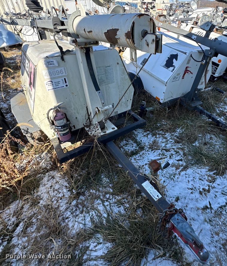 image for item DT2789 (4) light plants