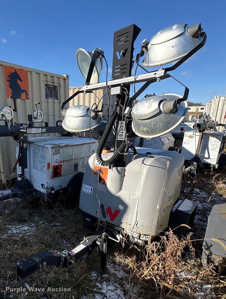 image for item DT2789 (4) light plants