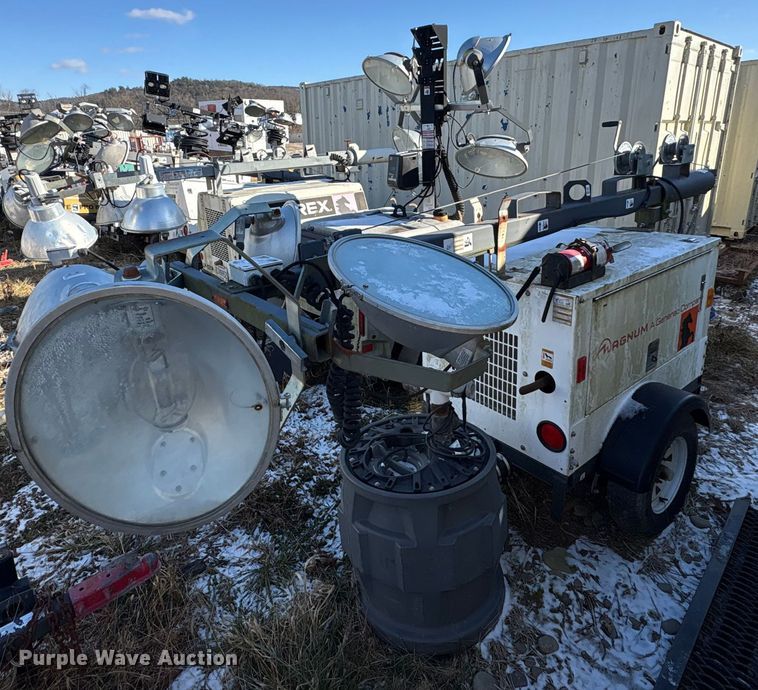 image for item DT2789 (4) light plants