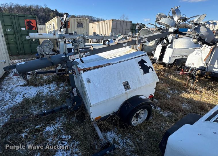 image for item DT2789 (4) light plants