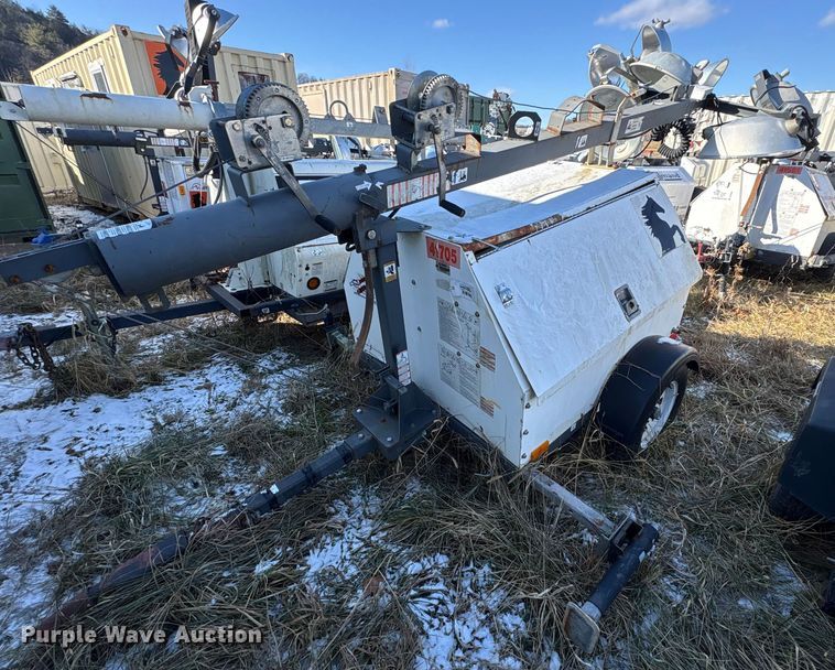 image for item DT2789 (4) light plants