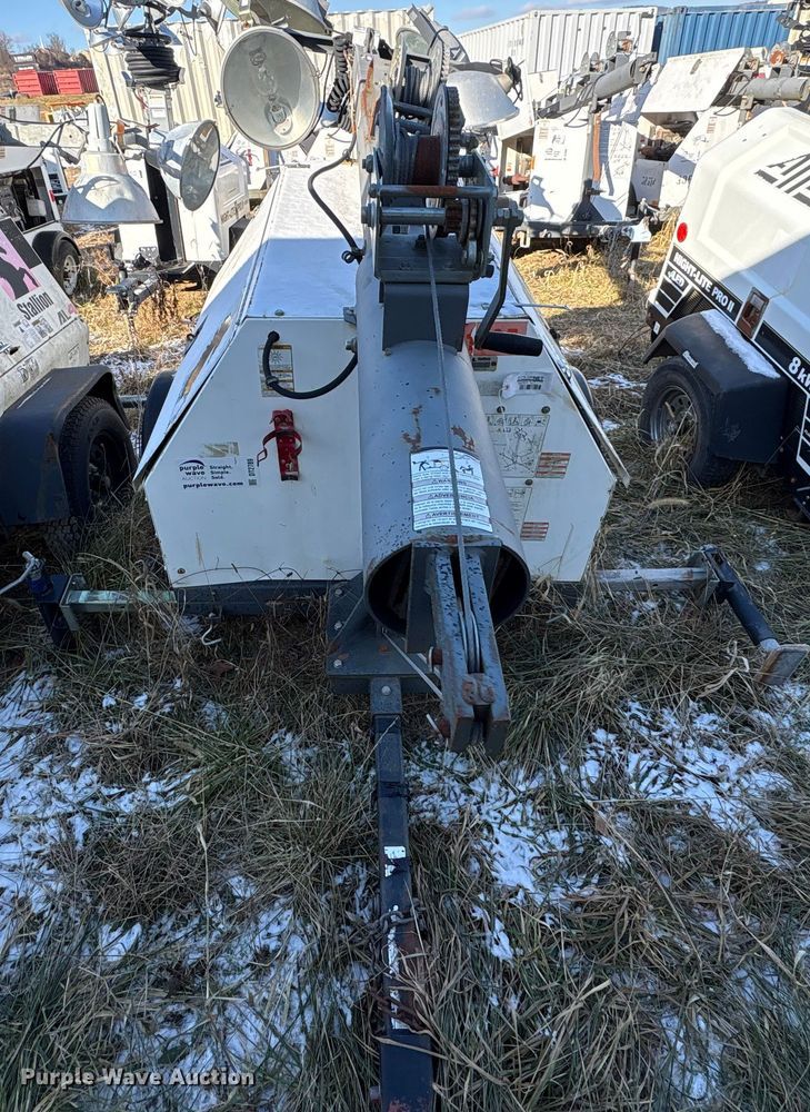 image for item DT2789 (4) light plants