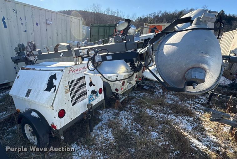 image for item DT2789 (4) light plants