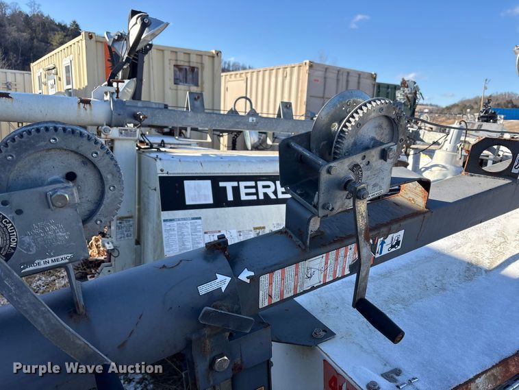 image for item DT2789 (4) light plants