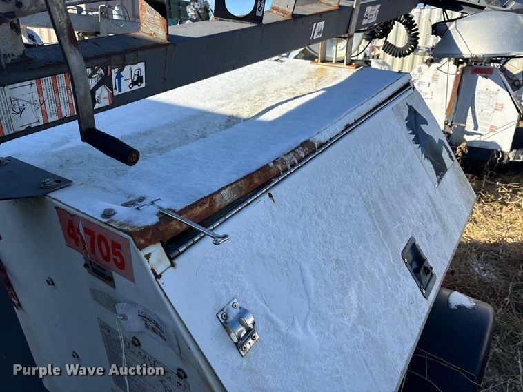 image for item DT2789 (4) light plants