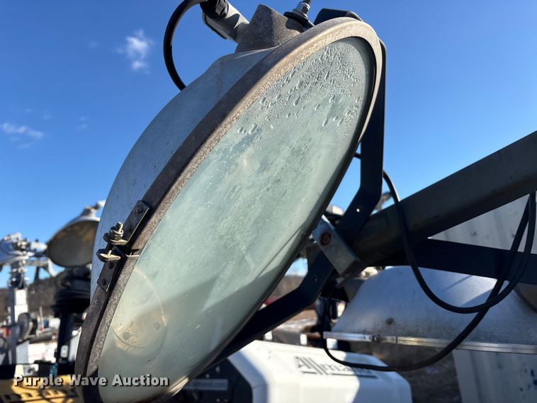 image for item DT2789 (4) light plants