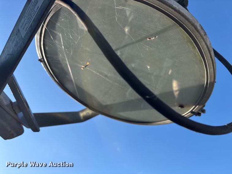 image for item DT2789 (4) light plants