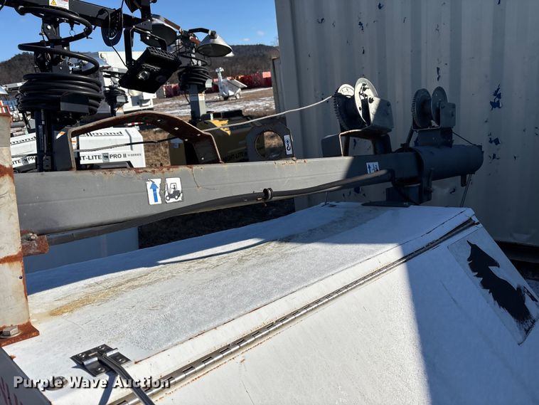 image for item DT2789 (4) light plants