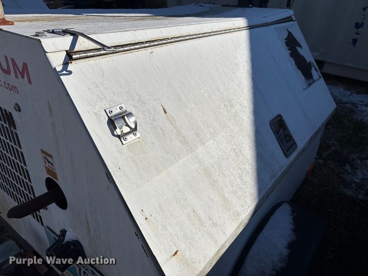 image for item DT2789 (4) light plants