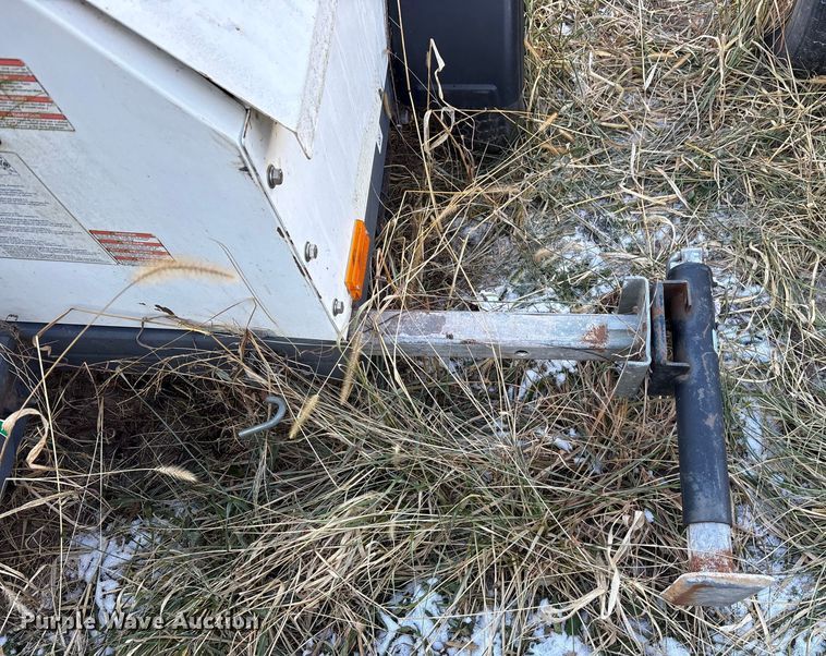 image for item DT2789 (4) light plants