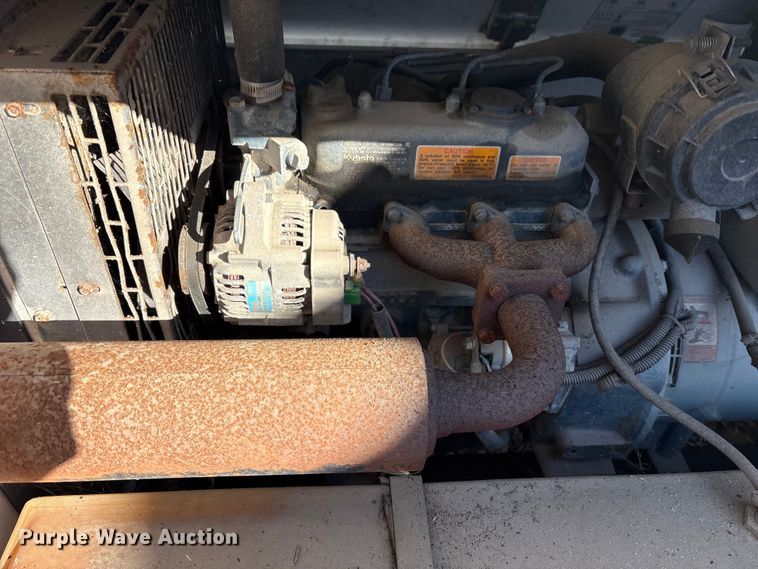 image for item DT2789 (4) light plants