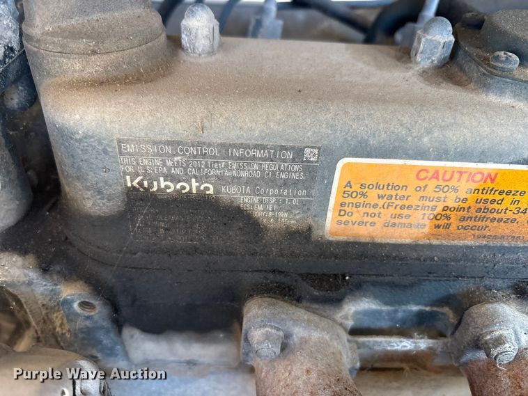 image for item DT2789 (4) light plants