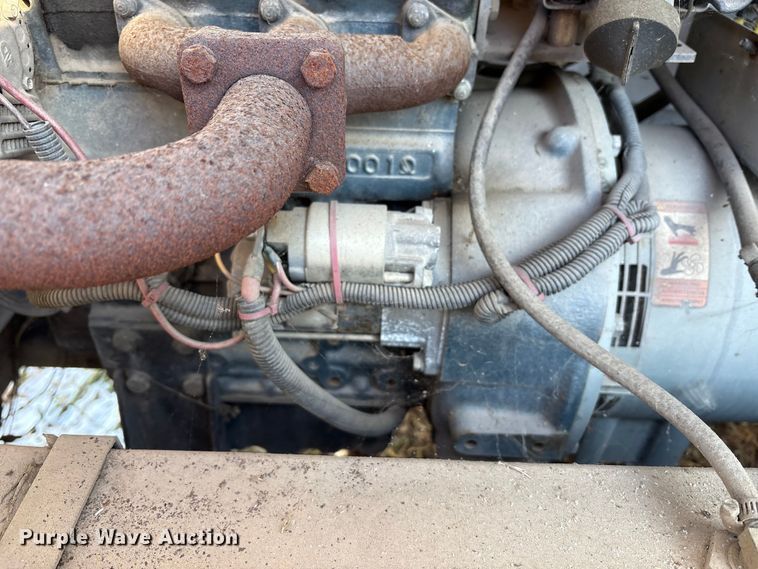 image for item DT2789 (4) light plants