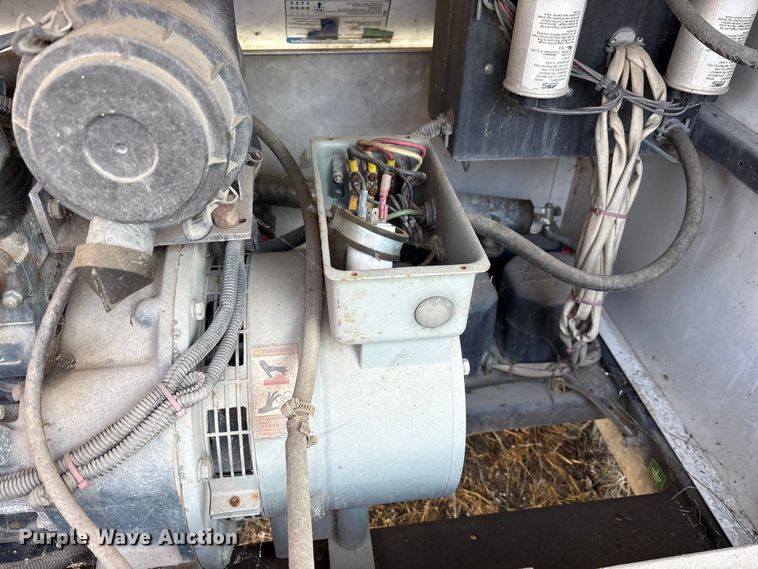 image for item DT2789 (4) light plants