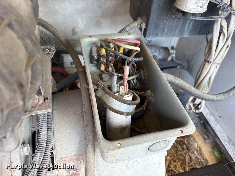 image for item DT2789 (4) light plants