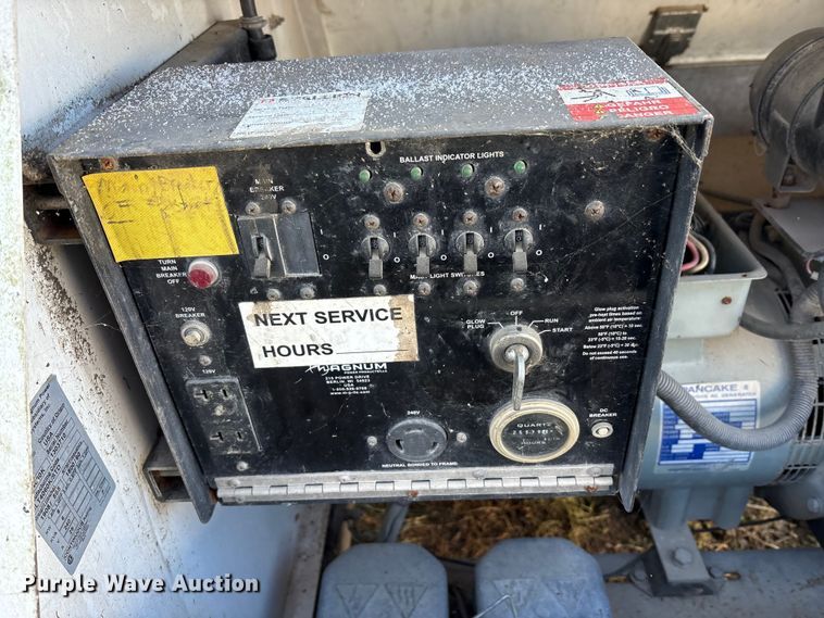 image for item DT2789 (4) light plants