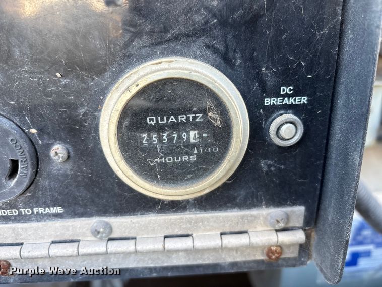 image for item DT2789 (4) light plants