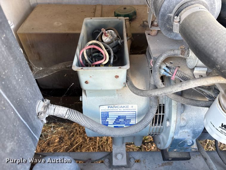 image for item DT2789 (4) light plants