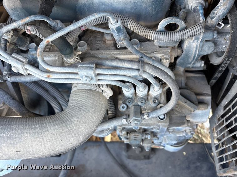 image for item DT2789 (4) light plants