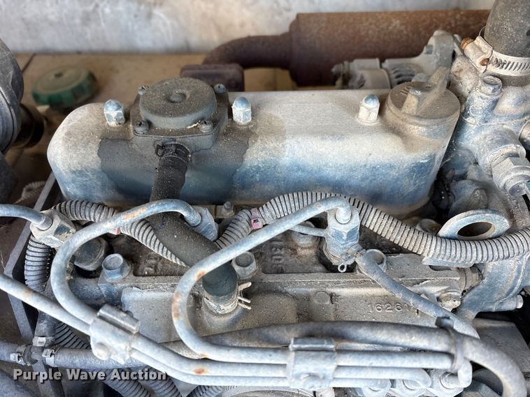 image for item DT2789 (4) light plants