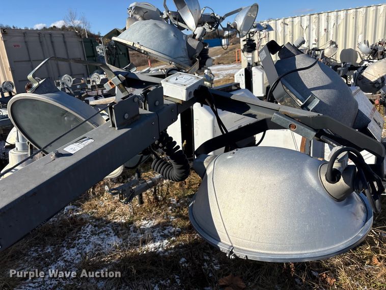 image for item DT2789 (4) light plants