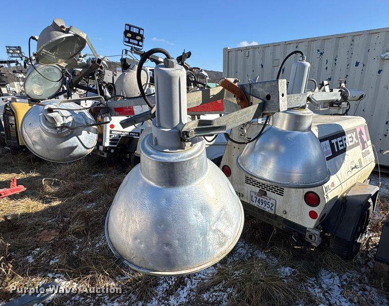 image for item DT2789 (4) light plants