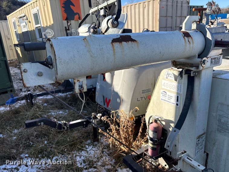 image for item DT2789 (4) light plants