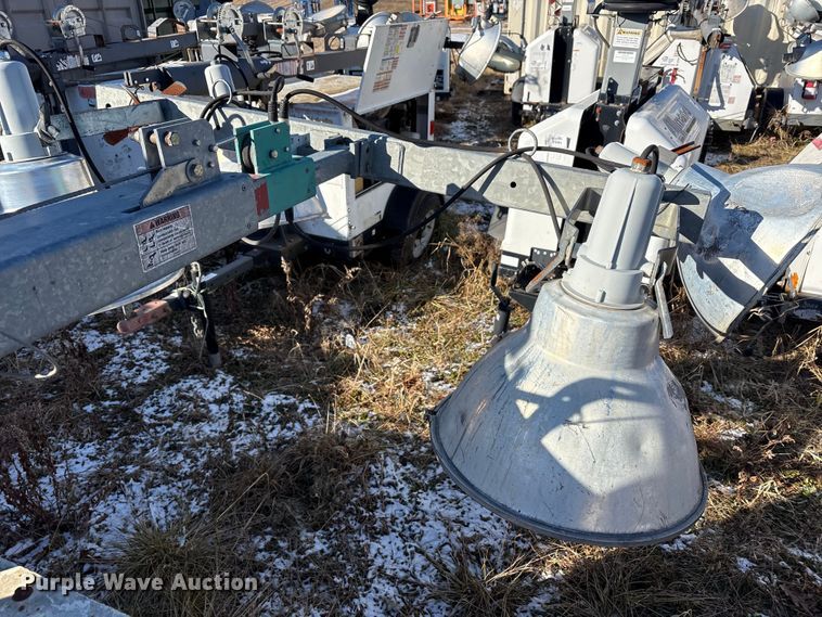 image for item DT2789 (4) light plants