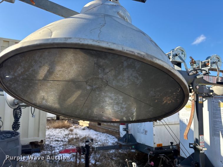 image for item DT2789 (4) light plants