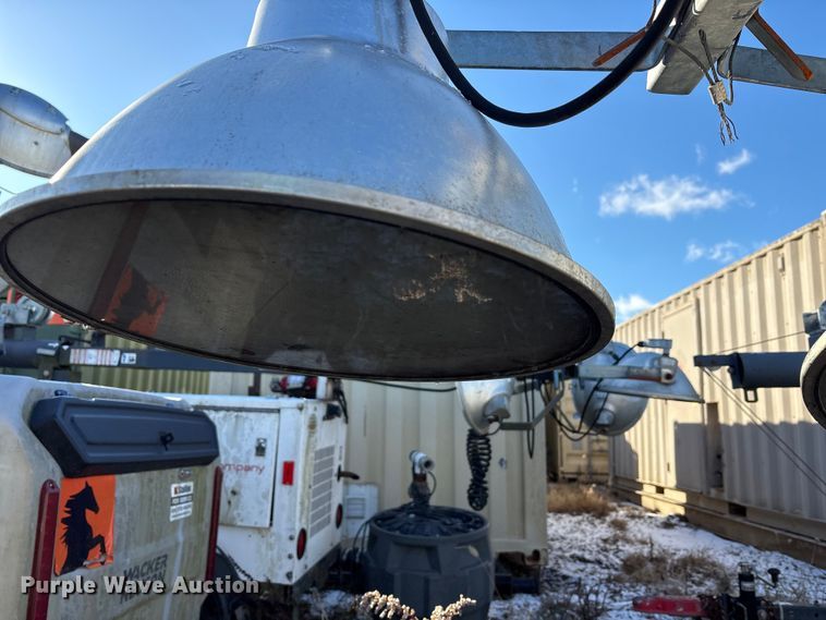 image for item DT2789 (4) light plants