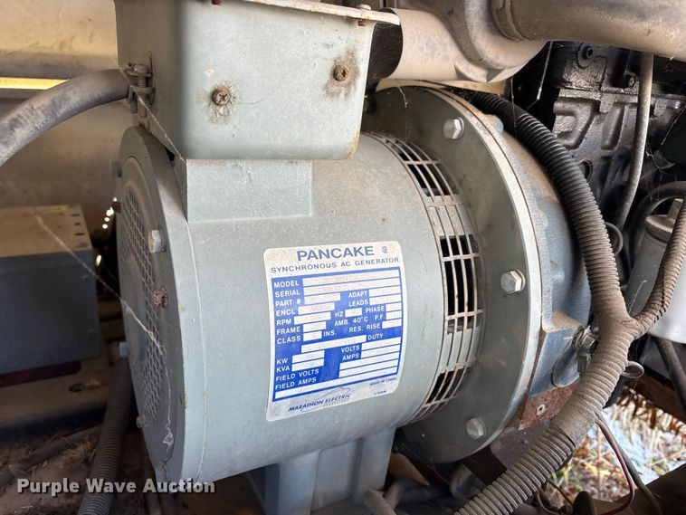 image for item DT2789 (4) light plants