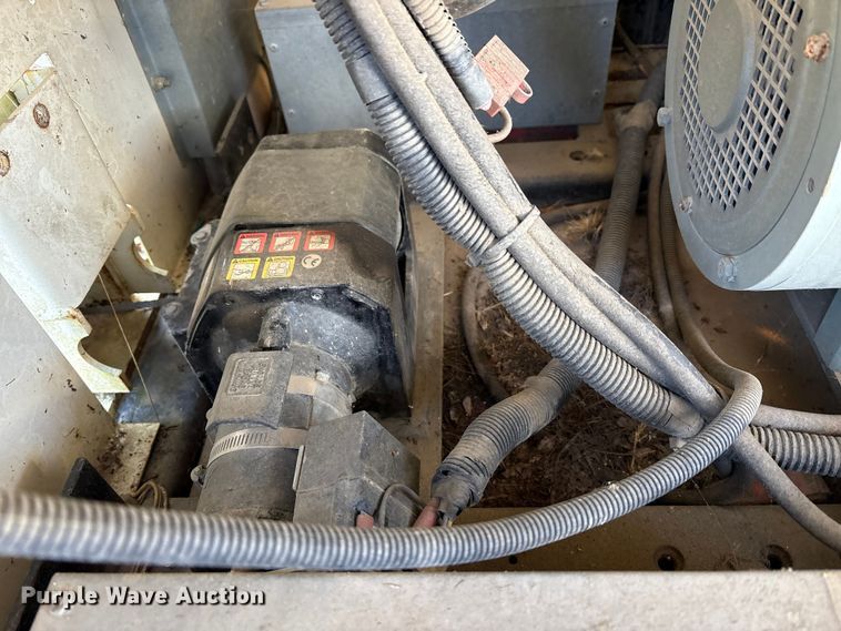 image for item DT2789 (4) light plants