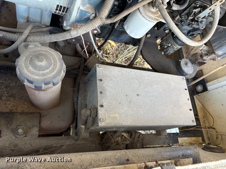 image for item DT2789 (4) light plants