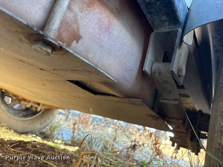 image for item DT2789 (4) light plants